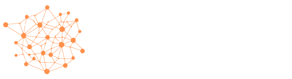 Paliton Networks icon