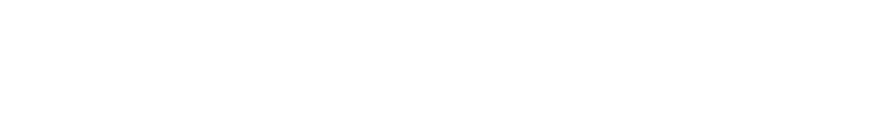 Paliton Logo White